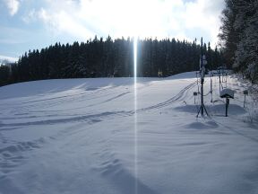 Lyask vlek Nad Kovrnou - Horn Lipov