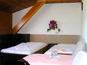 Turistický jezdecký klub Pensionu Grefenberg - Jeseník lázně