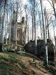 Zcenina hradu Kaltentejn