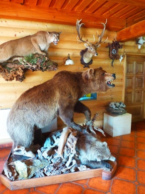 Pension Restaurace Grizzly - Vrbno pod Pradědem, Ludvíkov