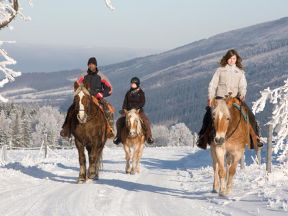 Apartmány Farma Bovine - Heřmanovice