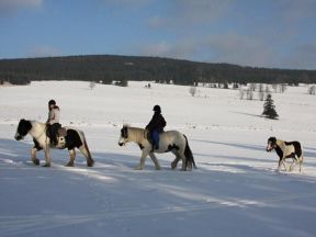 Apartmány Farma Bovine - Heřmanovice