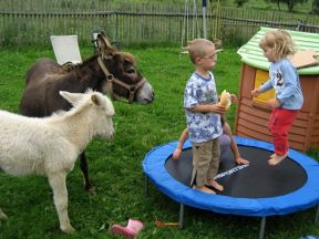 Apartmány Farma Bovine - Heřmanovice