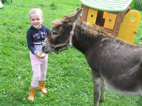 Apartmány Farma Bovine - Heřmanovice