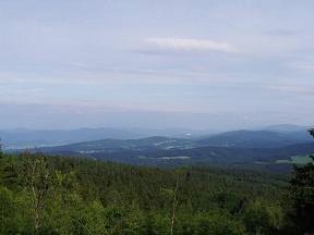 Rozhledna na Borvkov Hoe - Javornk, Travn