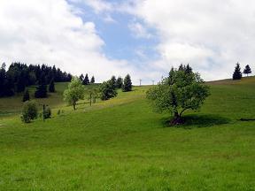 Chalupa Pohoda - Ostružná