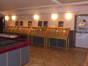 Městské muzeum Javorník