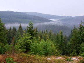 Zcenina hradu Kobertejn (Kobrtejn)