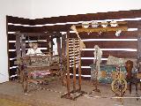 Vlastivědné muzeum v Šumperku - dějiny regionu