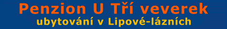 Ubytov�n� v Lipov�-l�zn�ch - Penzion U T�� veverek