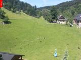 Ostru�n�