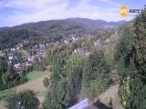 Karlovice